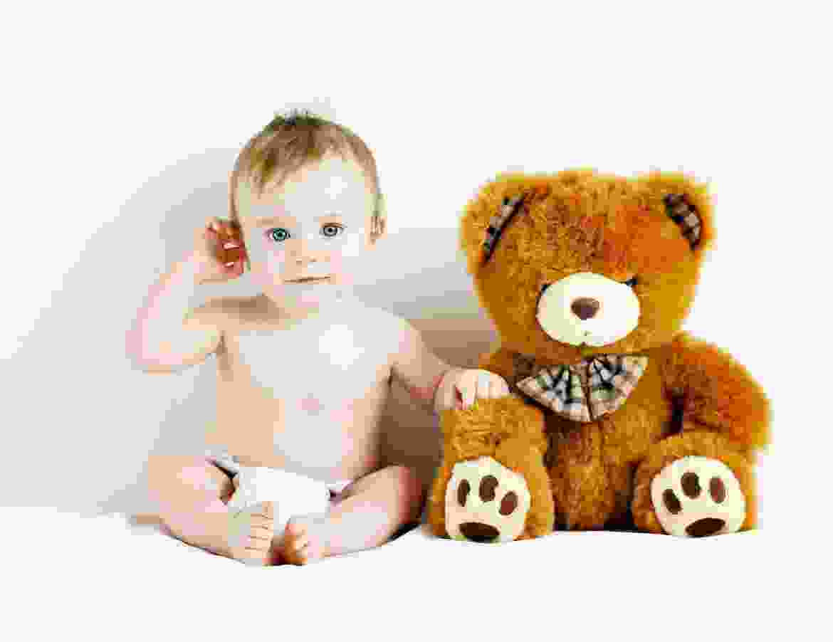 Duis fermentum felis