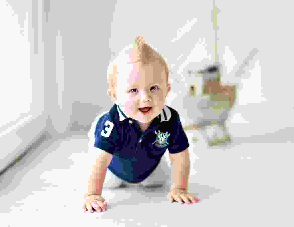 Cras tristique purus