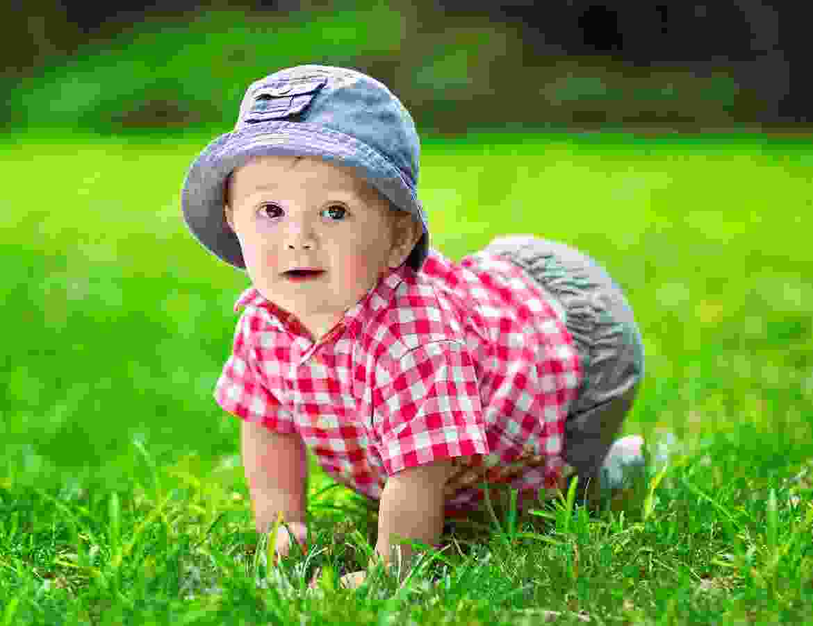 Fusce at semper tellus