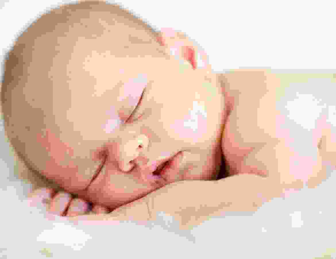 Aenean vitae rhoncus