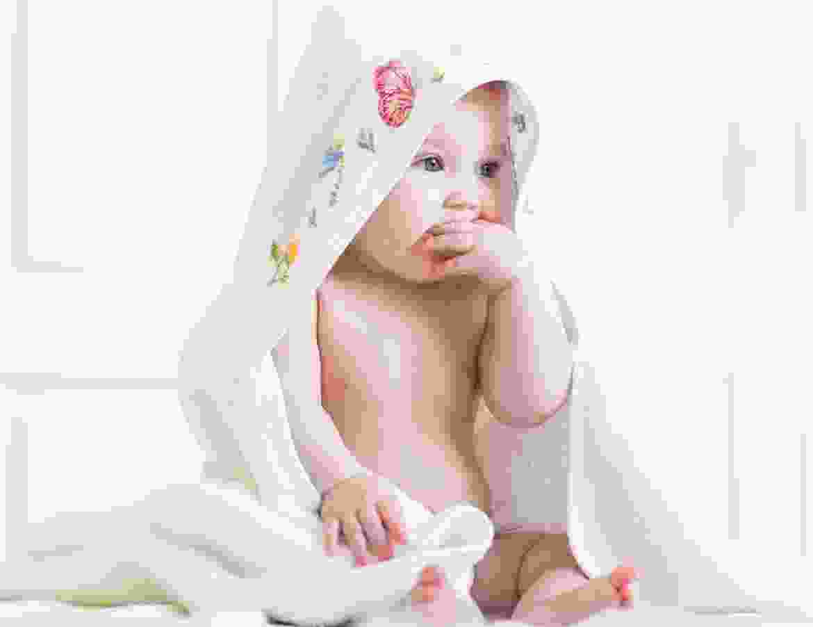 Proin venenatis felis